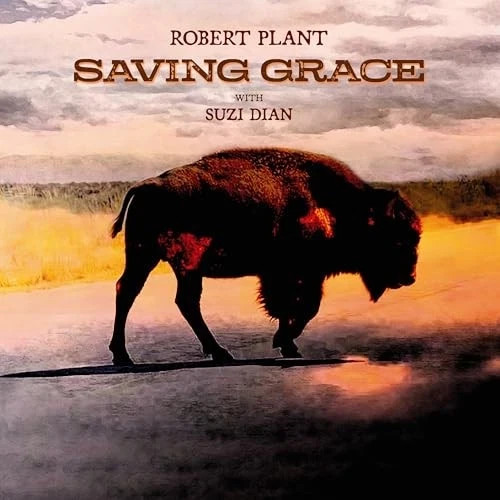 Robert plant saving - grace,