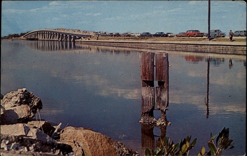 Jobean myakka river - jobean,