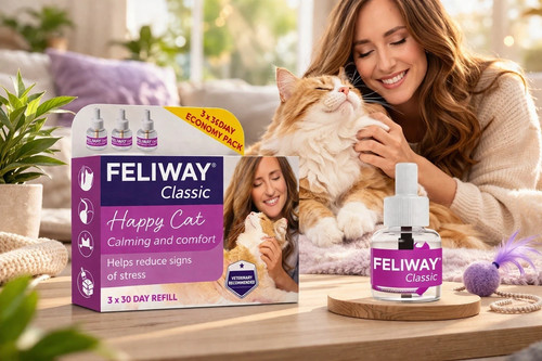 Feliway classic day cat - 3, 30