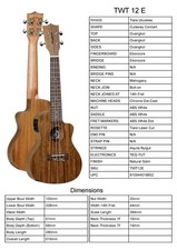 Guitar By Tanglewood, Model