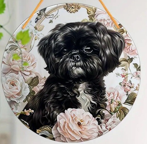Shih tzu dog large - dog,