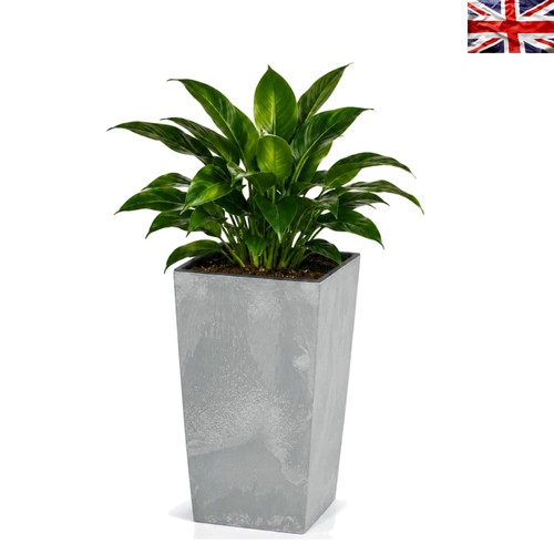 Elegant 26l square concrete - 26l,