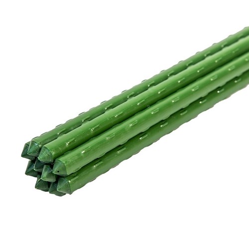 Garden plant stakes - plant, support
