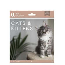 2024 Cats & Kittens Calendar 28.5 x 28.5cm