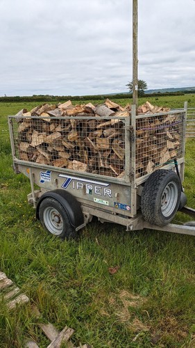 Seasoned logs firewood free - seasoned,