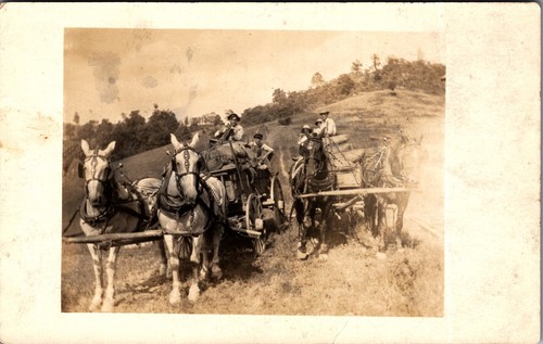 Antique rppc homestead - antique,