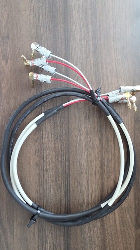 Chord company leyline - company,