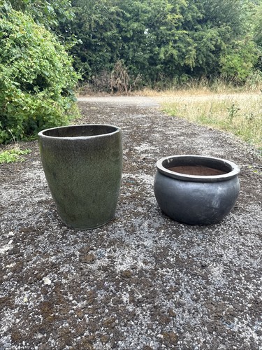 Plant pot - plant,