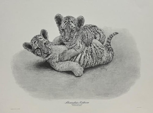 Bonnie marris alexandria - bonnie,