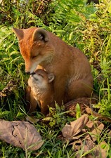 Mom and Baby Fox Polyresin