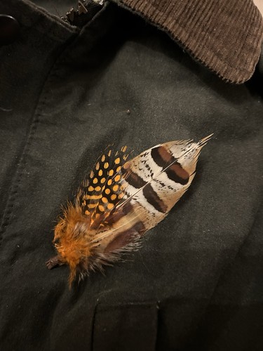 Feather lapel pin - feather,