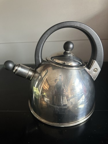 Aga stainless steel kettle - aga,