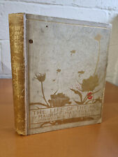 MAURICE MAETERLINCK The Life of the Bee - illus Edward J. Detmold - 1911