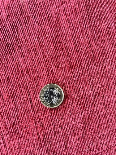 Rare bumblebee one pound - bumblebee,