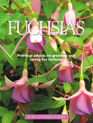 Fuchsias - fuchsias, garden