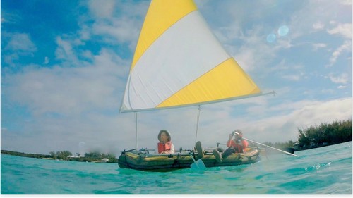 Sail kit for tobin - sail, pro