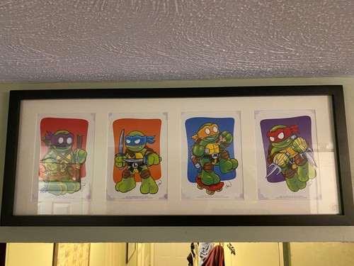 Teenage mutant ninja turtles - mutant,