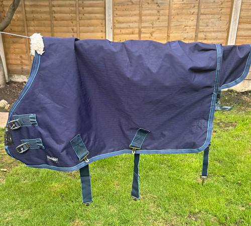 Shires tempest original mini
