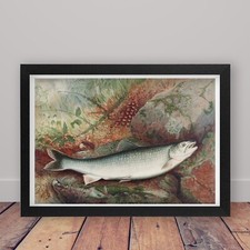 Framed Lake Trout Vintage