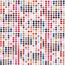 12 bottles nail varnish polish set Assorted shades mixed brands joblot bundle