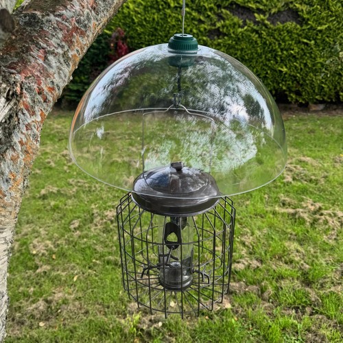 Squirrel proof hanging bird - squirrel,