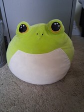 14 Inch Ty Frog Suishy Plush Soft Toy