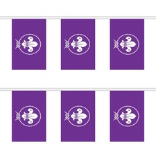 Flagtex Scouts Purple