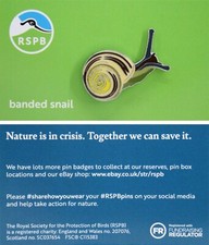 RSPB Pin Badge Banded Snail