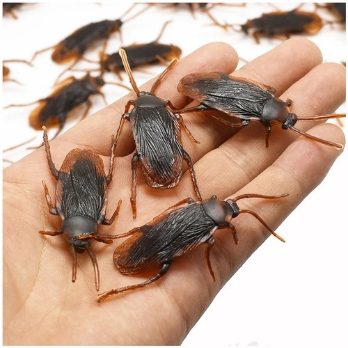 Realistic fake cockroach toy - fake,