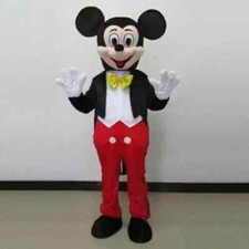 Professional Gray Dolphin