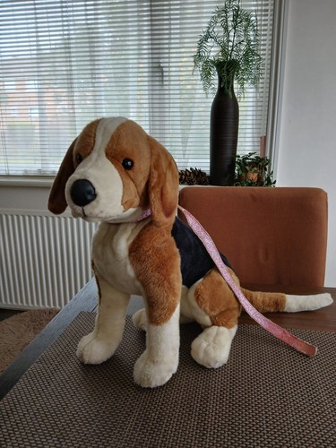 Beagle soft toy plush - soft,