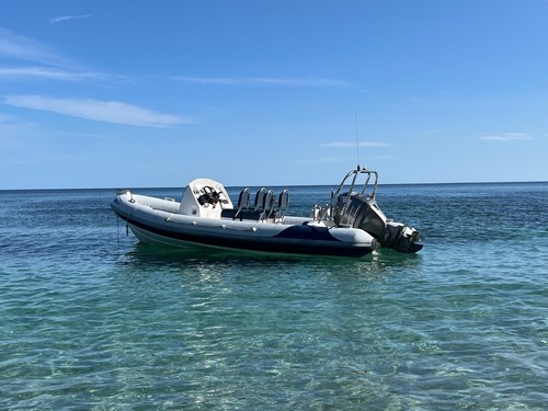 Ribeye boat a600 hypalon - ribeye,