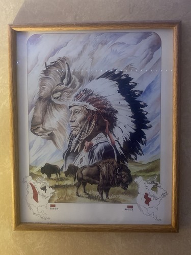 Rob larson framed sioux native - rob,