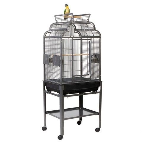 Rainforest peru small parrot - small,