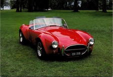 1966 shelby cobra automobile - shelby,