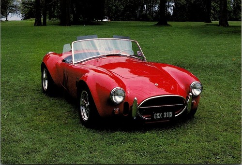 1966 shelby cobra automobile - 1966,