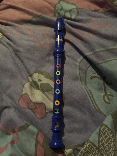 Smarties recorder - smarties,