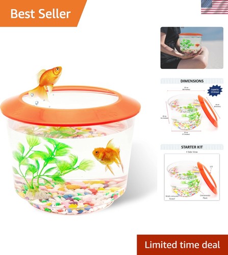 Colorful goldfish fish bowl - fish,
