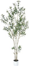 7FT Artificial Olive Tree, For Auction, Large White Pot