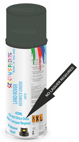 Spray paint for land rover - land,