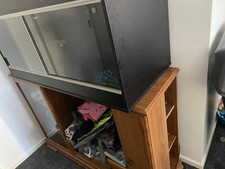 vivarium full set up