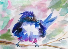 Delilah cubby bird