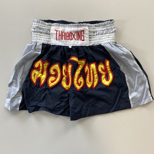 Thai boxing muay mma - thai,