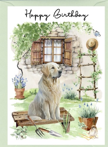 Golden retriever dog - (4"x, 6")