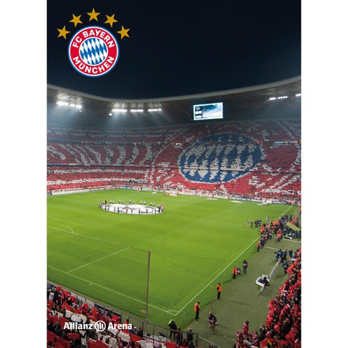 Bayern munich blanket - fc,