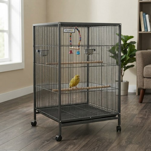 Bird cage small - bird,