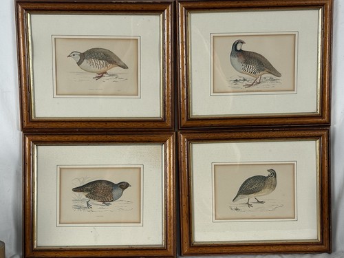 Four vintage ornithological - vintage,