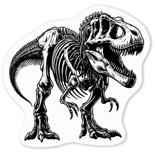 Rex dinosaur skeleton - dinosaur, skeleton'