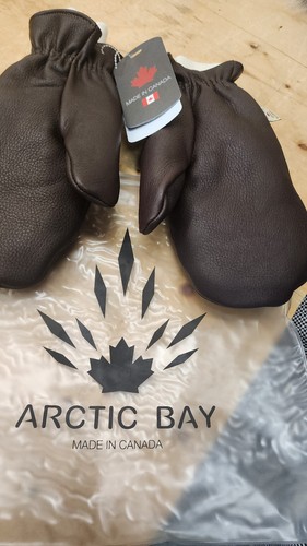 Arctic bay canada dear - bay,