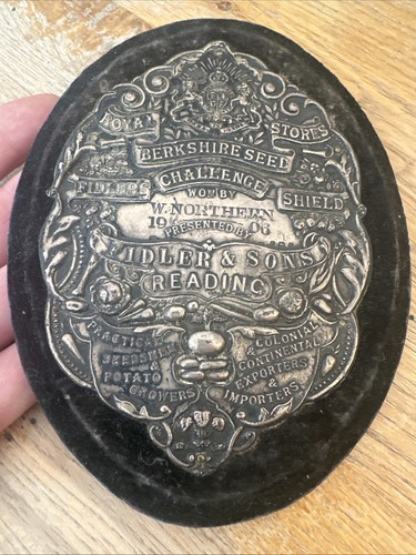 Antique silver shield - silver,